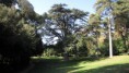 /album/fotogaleria/img-5254-jpg/